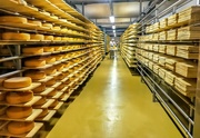 2nd Aug 2019 - A visit to a cheese factory.