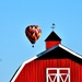 Birds, Balloon, Barn by lynnz