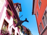 3rd Aug 2019 - Colourful houses in Lindau