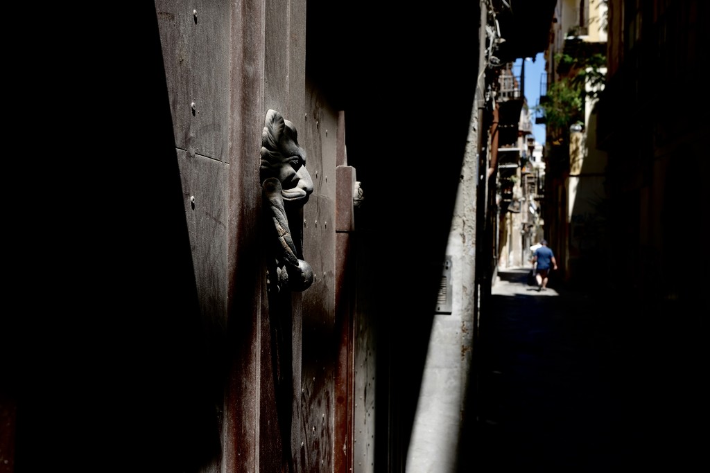 Palermo street by vincent24