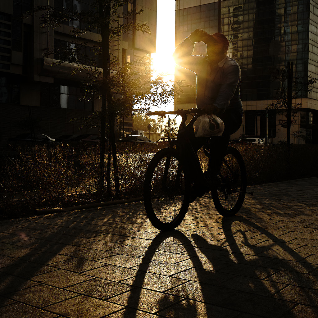 Cyclist #2 by stefanotrezzi