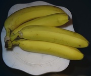 3rd Aug 2019 - Day 215:  Bunch Of Bananas