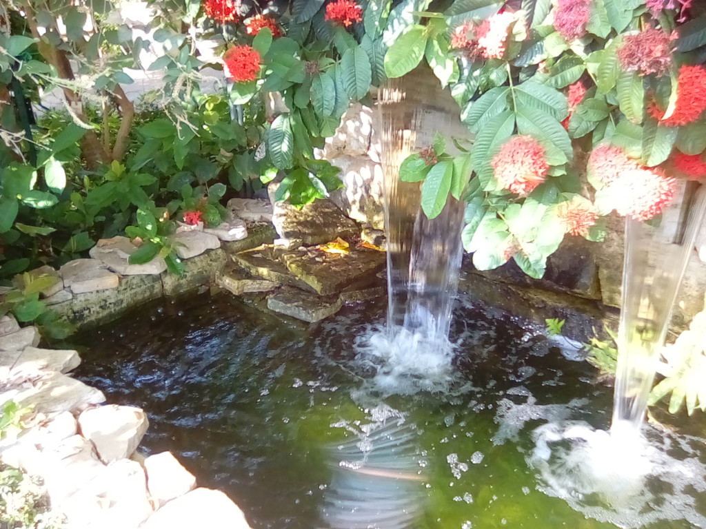 Fountain by larrysphotos