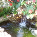 Fountain by larrysphotos