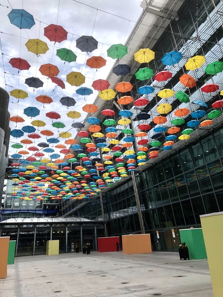 Coloured Umbrellas by davemockford