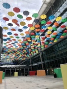 4th Aug 2019 - Coloured Umbrellas