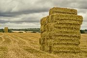 4th Aug 2019 - Stacks and Stubble