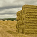 Stacks and Stubble by fbailey