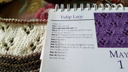 4th Aug 2019 - May 1 Tulip Lace