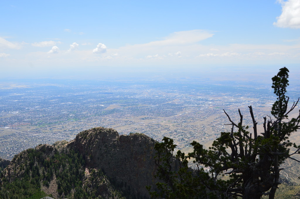A View Of Albuquerque From The Top Of Sandia Crest. by bigdad