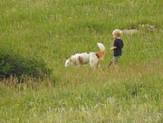 5th Aug 2019 - A Boy and His Dog