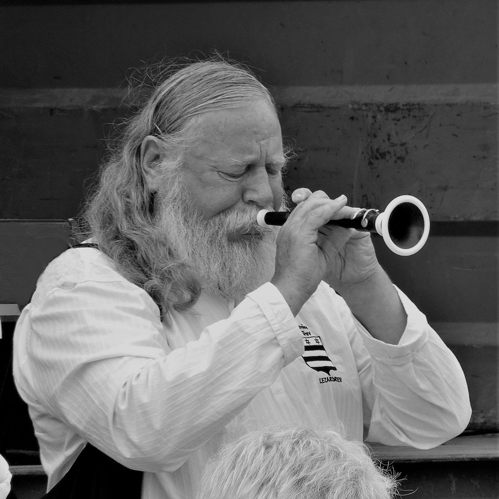 Traditional music in Brittany (1) by etienne