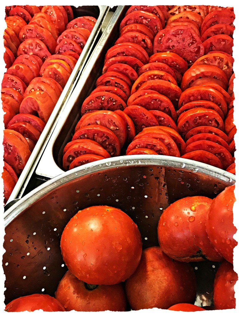 Farm Fresh Tomatoes by peggysirk