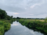5th Aug 2019 - River Wey