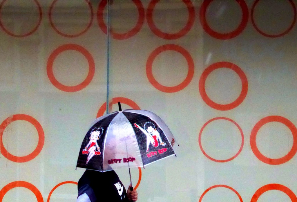 umbrella by steveandkerry
