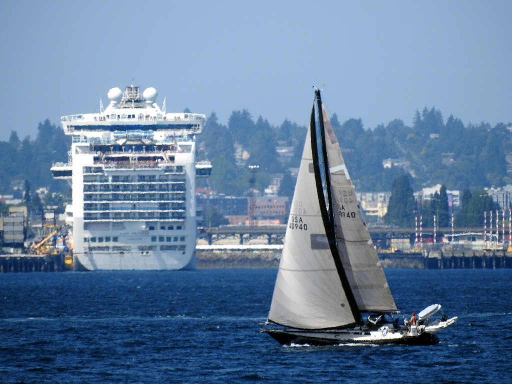 Sail Boat Meets Cruise Ship by seattlite