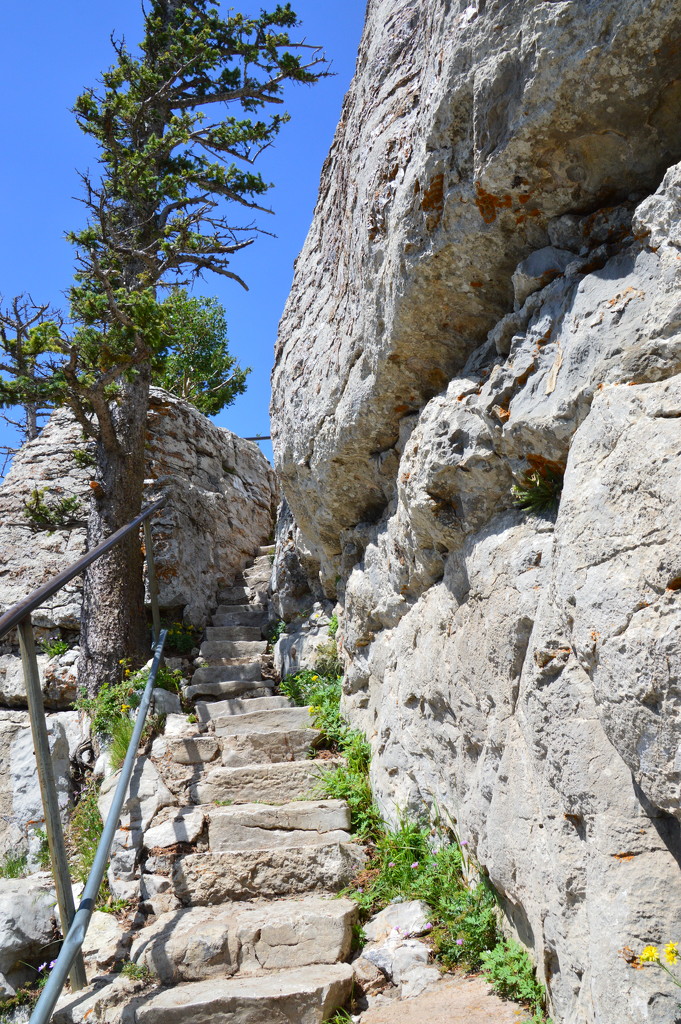 Stairs On The Way To The Stone House, Sandia Peak by bigdad