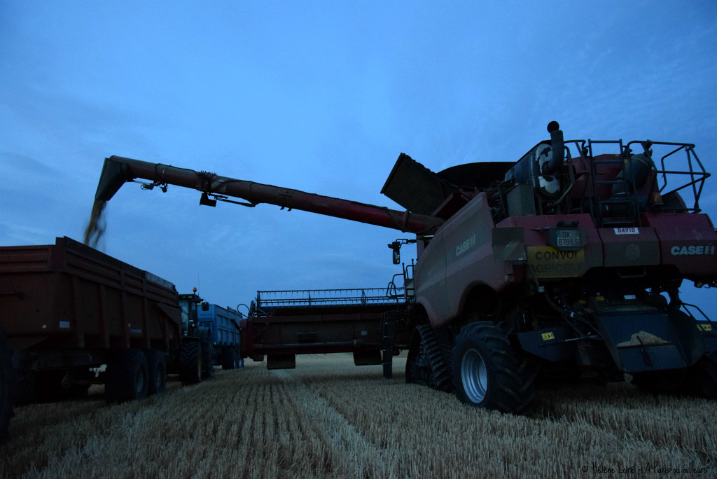 last wheat harvest of the year by parisouailleurs
