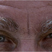 Eyes and Brows by pcoulson