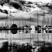 2019-08-07 calm before the storm by mona65