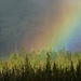 rainbow by gijsje