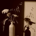 Still Life in Sepia by fbailey