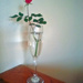 A single Rose by larrysphotos