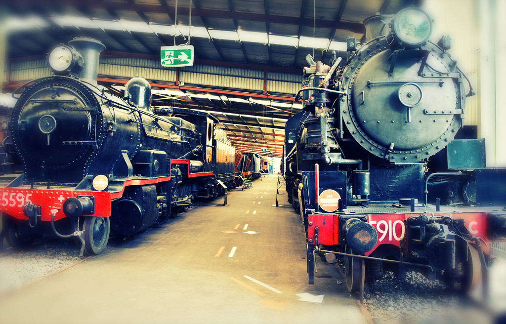 Steam Locomotives 5595 and 5910 by annied