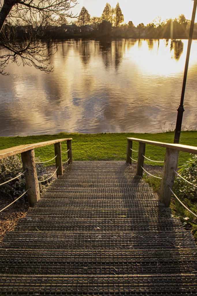 Leading Lines by nickspicsnz