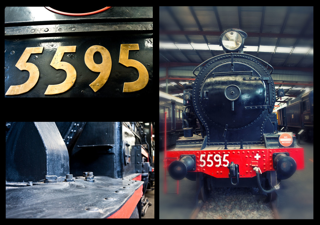 Locomotive Steam 5595 by annied