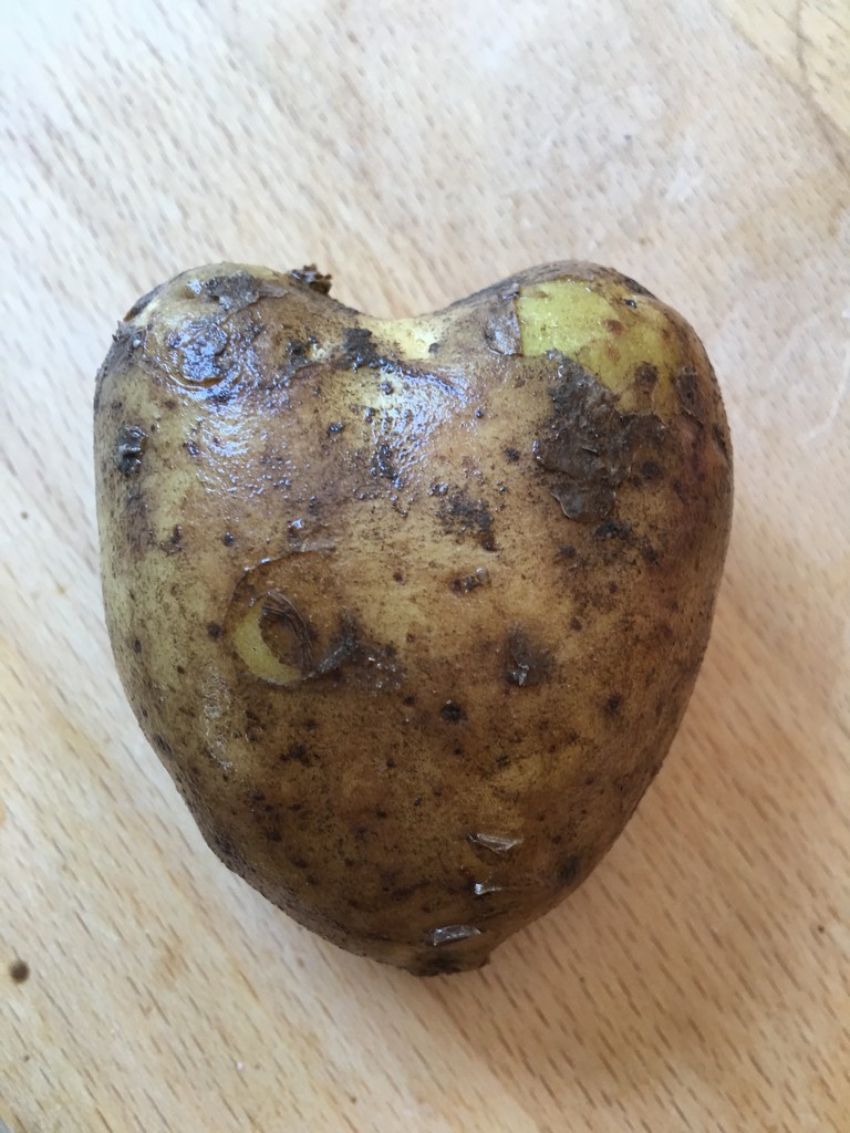 Heart potatoe by ninihi