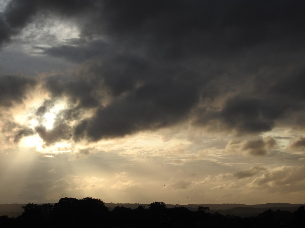 Moody sky this evening by roachling