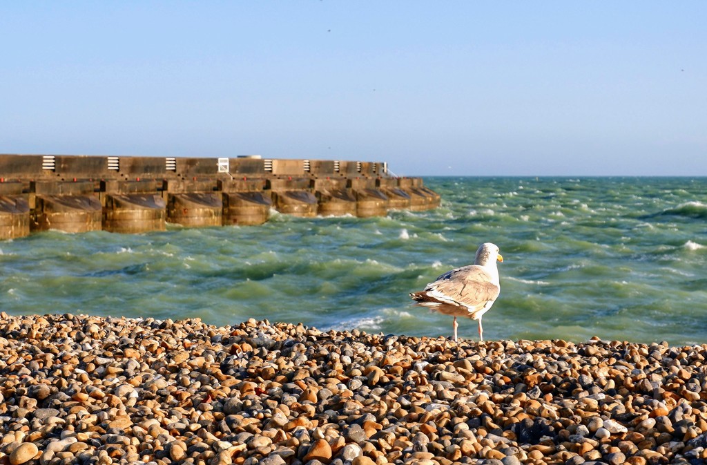 Wave watching 2 by 4rky