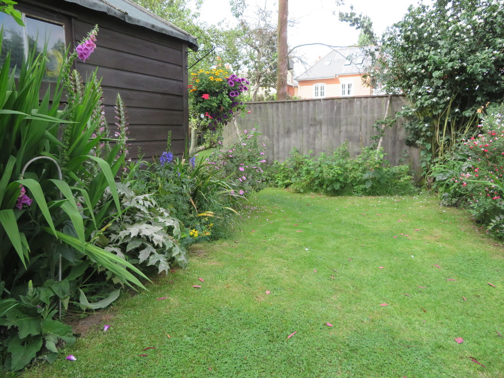 A corner of my garden by lellie