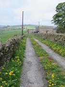 3rd May 2019 - Just down the lane