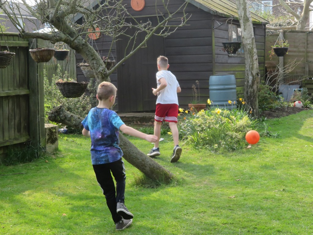 Back garden football by lellie