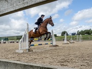 10th Aug 2019 - Showjumping 