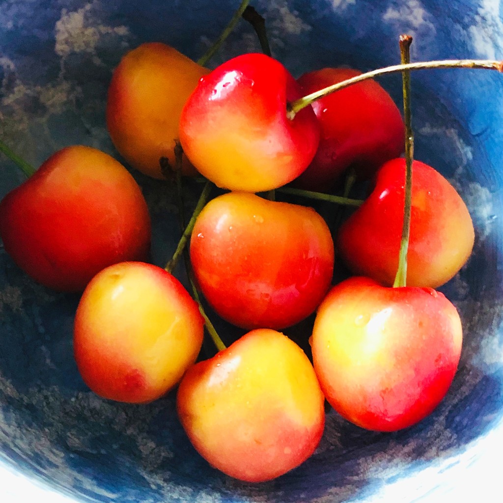 Rainier Cherries by yogiw