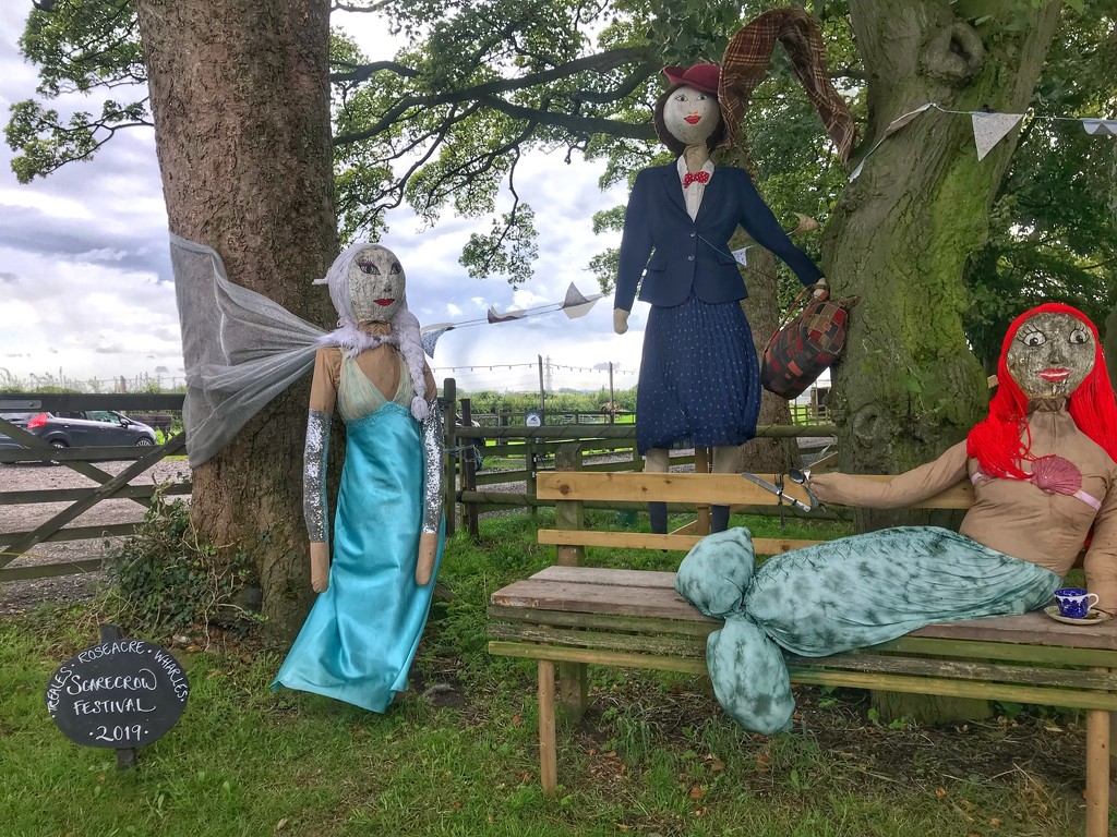 Scarecrow festival by happypat