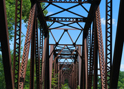 10th Aug 2019 - Old Tressel