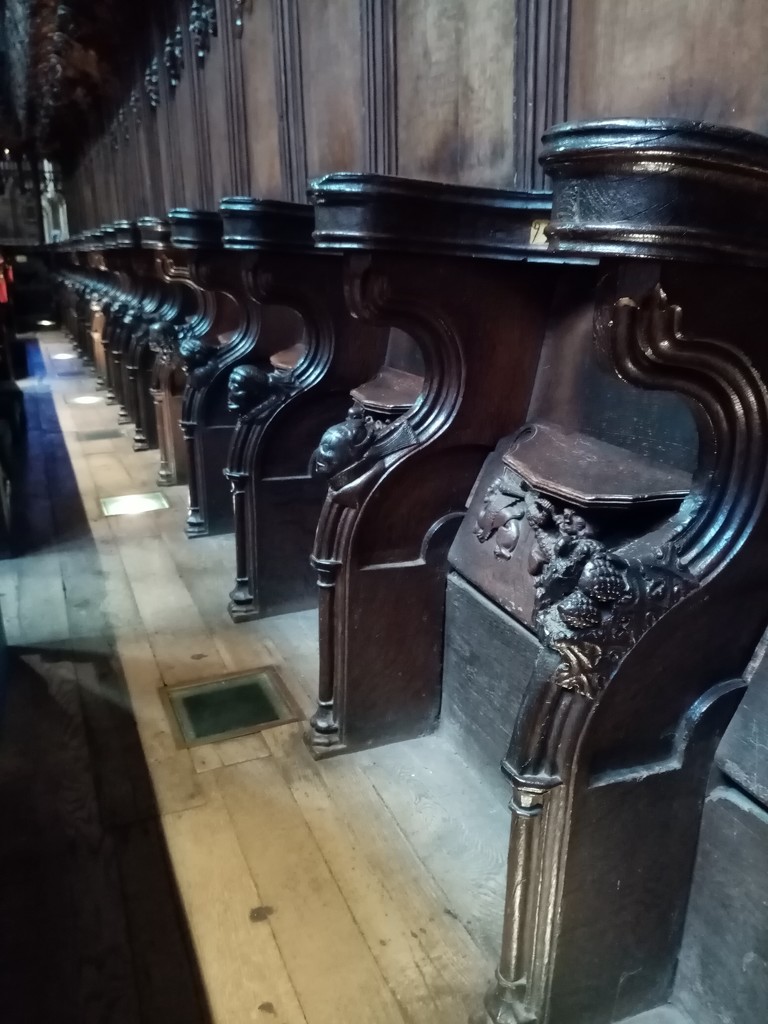 Cathedral Seats, Chester  by g3xbm