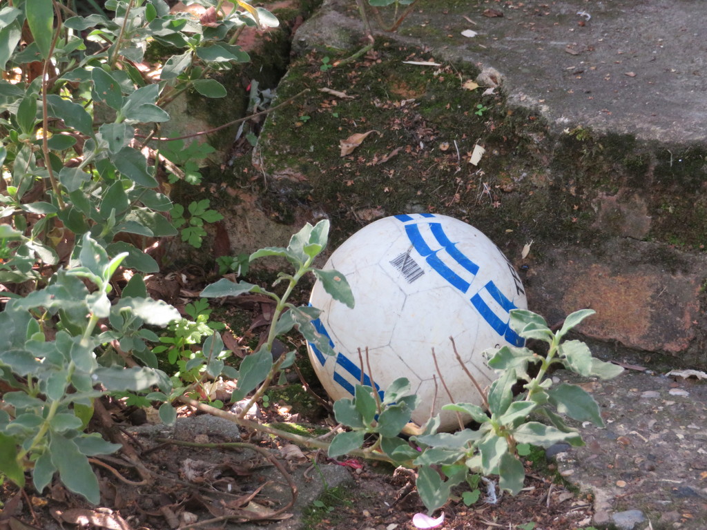 Deflating football by lellie