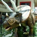 Triceratops by fishers