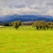 Beautiful North-East Victoria  by pictureme