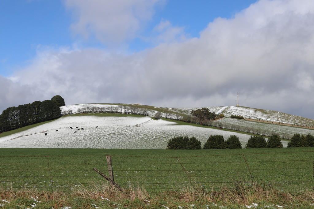 The hills are alive with snow by gilbertwood