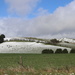 The hills are alive with snow by gilbertwood
