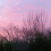 Pink clouds by lellie