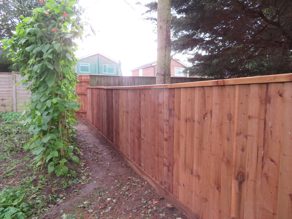 New fence by lellie