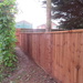 New fence by lellie