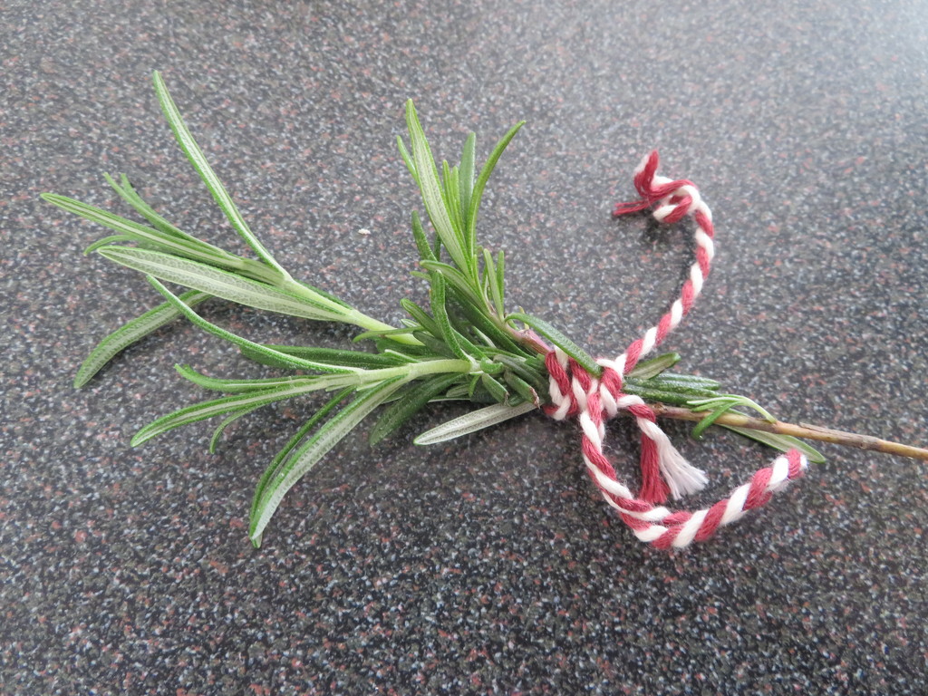 Rosemary for remembrance by lellie